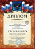 Ларичкин РО-физика 2012-2013